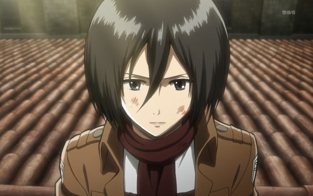 tiểu sử Mikasa