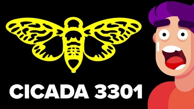 Cicada 3301 là gì?