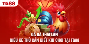 da ga thai lan – dieu ke thu can biet khi choi tai tg88 &raquo;