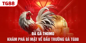 da ga thomo – kham pha bi mat ve dau truong ga tg88 &raquo;