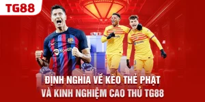 dinh nghia ve keo the phat va kinh nghiem cao thu tg88 &raquo;