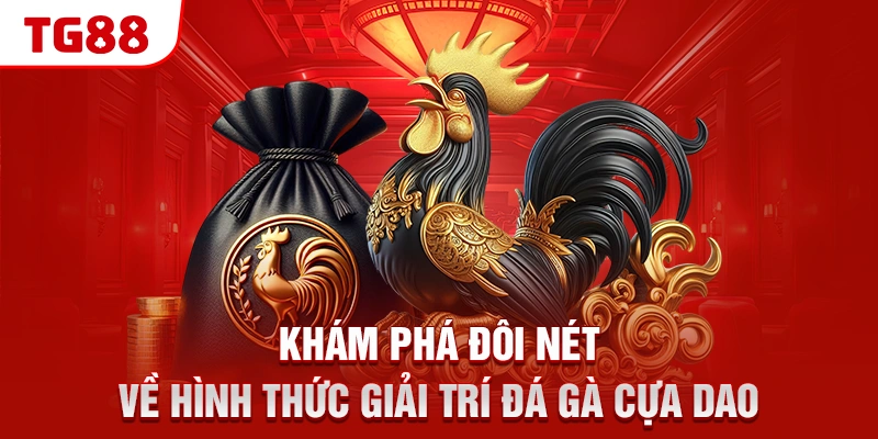 Khám phá đôi nét về hình thức giải trí đá gà cựa dao