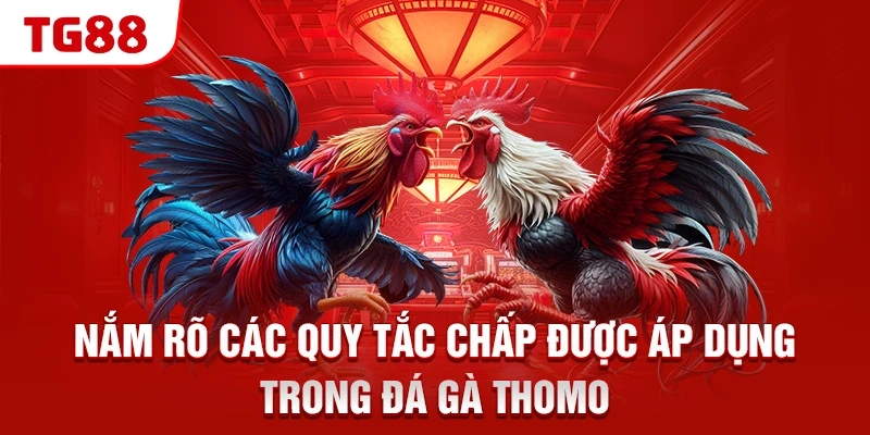 Nắm rõ các quy tắc chấp được áp dụng trong đá gà Thomo