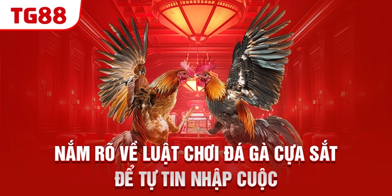 Nắm rõ về luật chơi đá gà cựa sắt để tự tin nhập cuộc