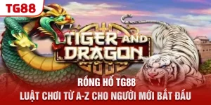 rong ho tg88 – luat choi tu a z cho nguoi moi bat dau &raquo;