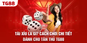 tai xiu la gi cach choi chi tiet danh cho tan thu tg88 &raquo;
