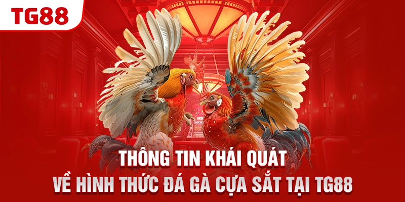 Thông tin khái quát về hình thức đá gà cựa sắt tại TG88
