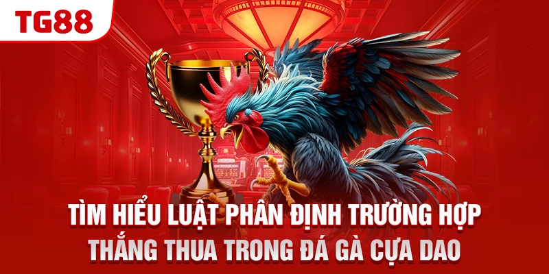 Tìm hiểu luật phân định trường hợp thắng thua trong đá gà cựa dao