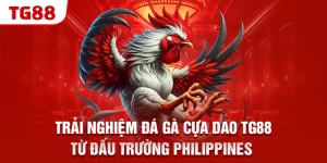 trai nghiem da ga cua dao tg88 tu dau truong philippines &raquo;