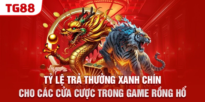 Tỷ lệ trả thưởng xanh chín cho các cửa cược trong game Rồng Hổ
